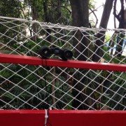 Chácara Turma da Mônica