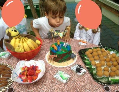 festa bichos na escola