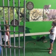 Exposição no antigo fórum de Ilhabela