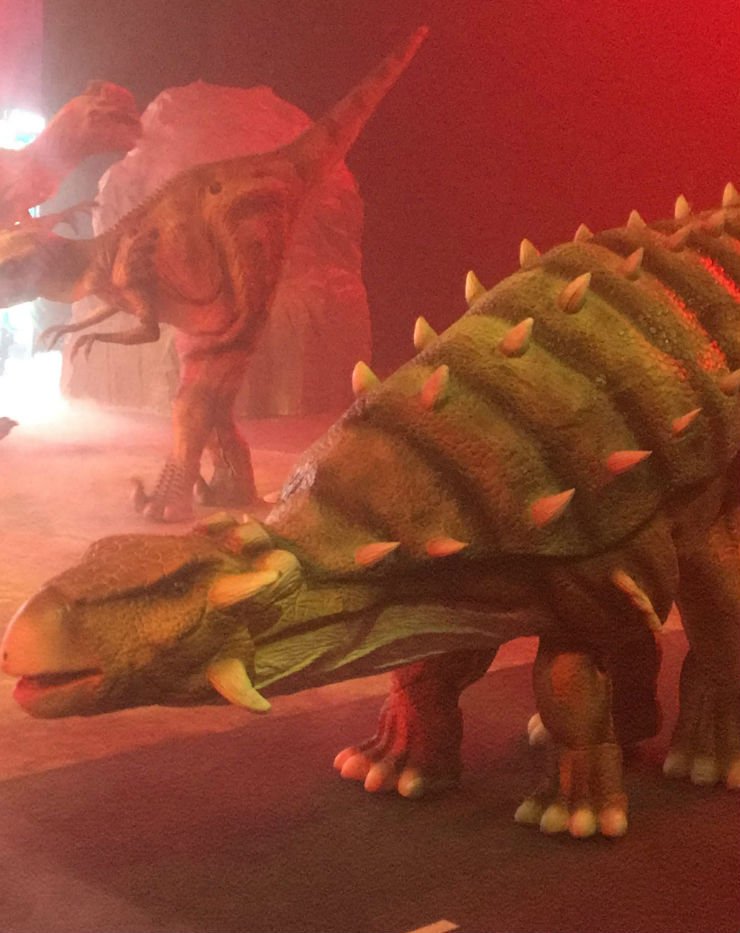 dinos experience
