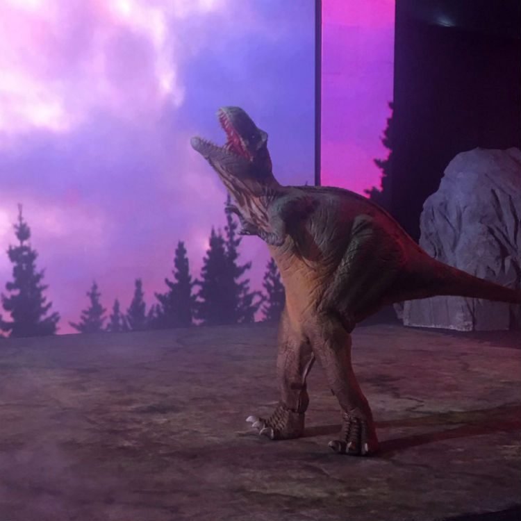 dinos experience
