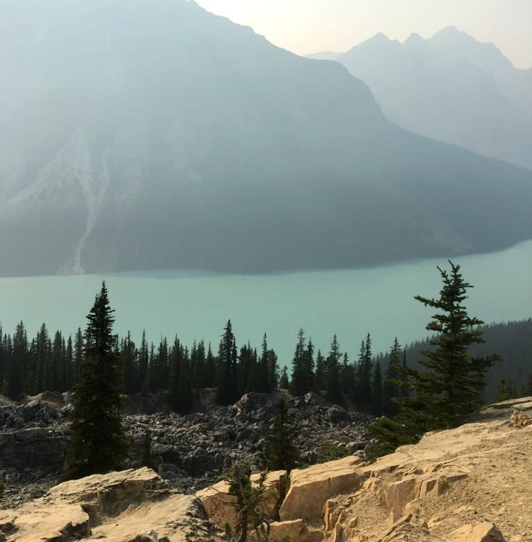 vista de Peyto Lake