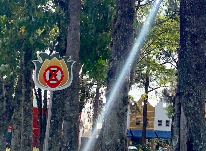 placa de transito em Holambra com o formato de flor