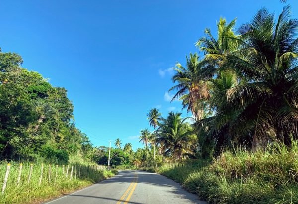 estrada para São Miguel dos Milagres