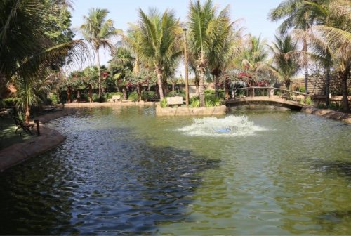 Carpe Diem Park Hotel