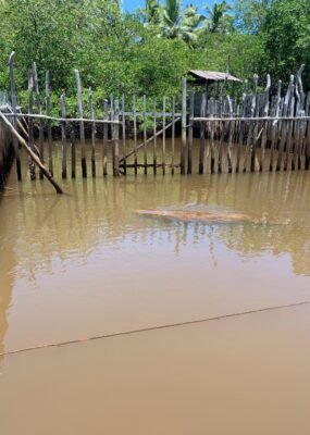 Rio Tatuamunha