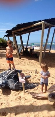 Praia do Forte