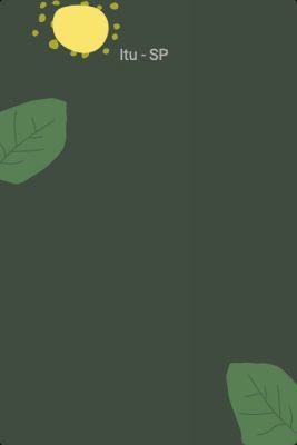 web-stories-page-template-8934