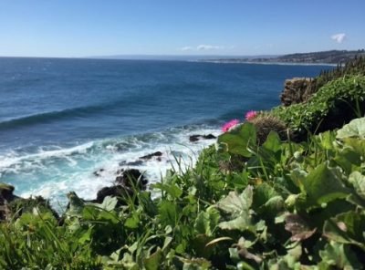 PLAYA PUNTA DE LOBOS