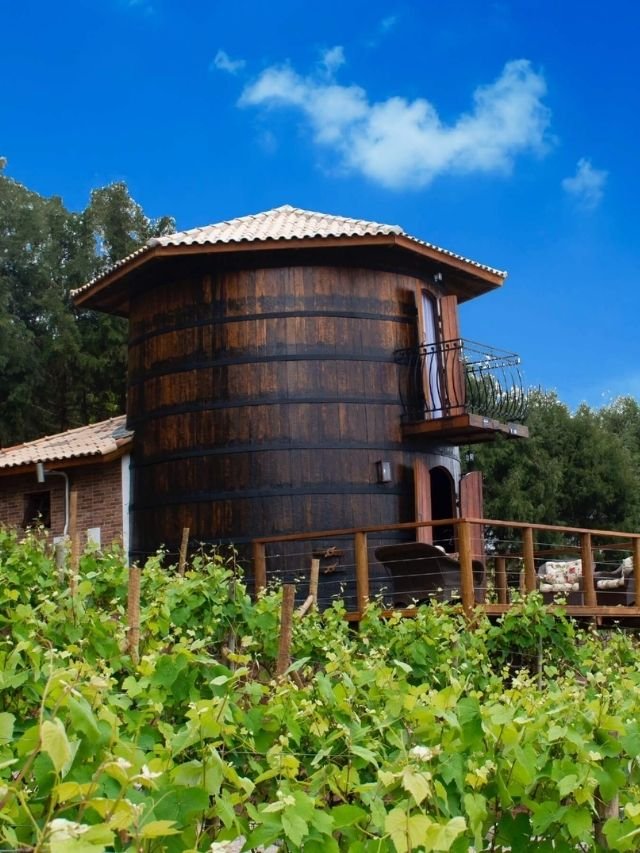 Já pensou se hospedar dentro de um tonel de vinho?