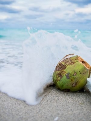 coco no mar