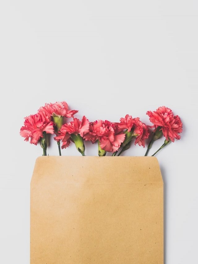 cropped-flores-envelope.jpg