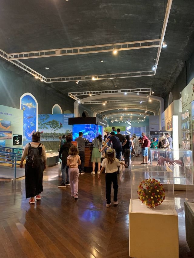 MUSEU CATAVENTO