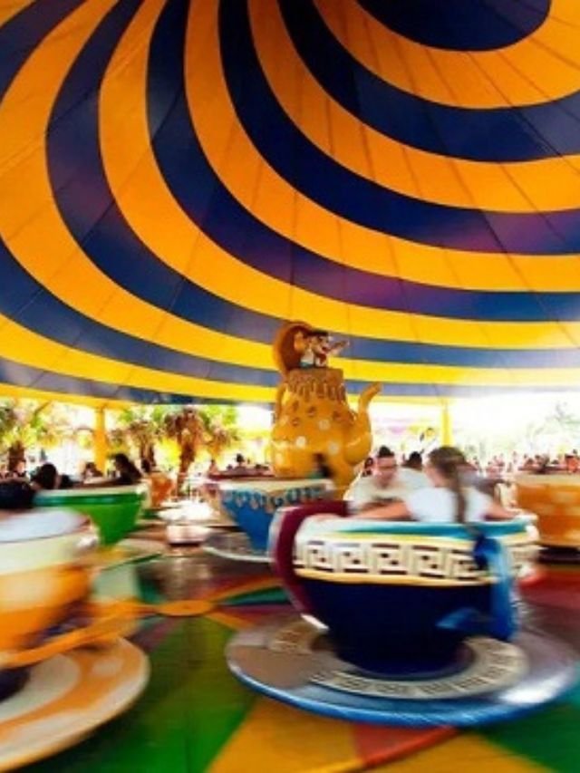 Os melhores parques de diversões e aquáticos de 2022