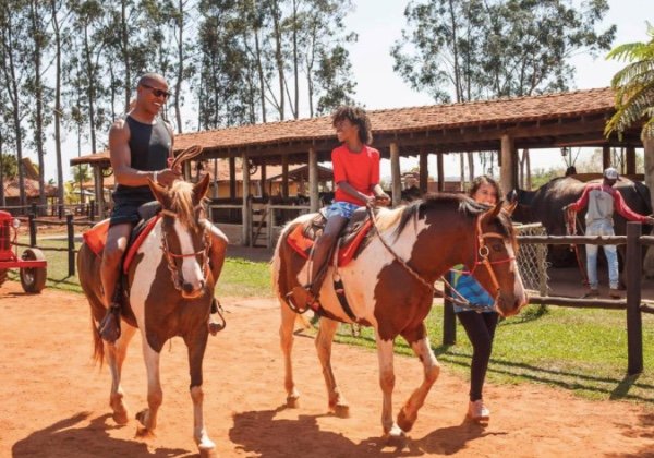 cavalo fazenda