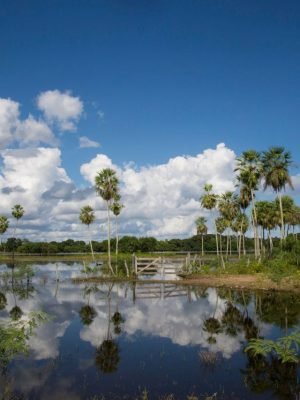estrada pantaneira