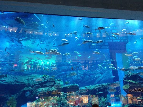 Aquário de dubai