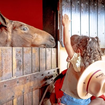 cavalo hotel fazenda encanto da roça
