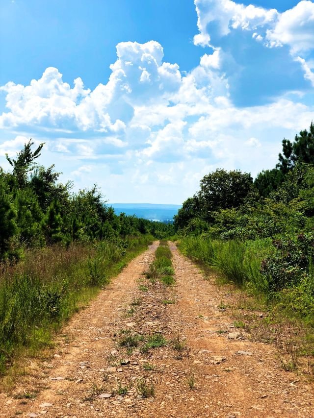 estrada de terra