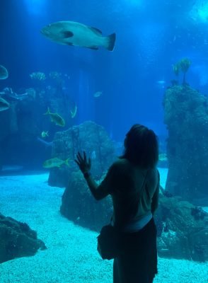 oceanário de lisboa