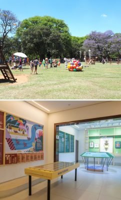 parque do Ibirapuera e planeta inseto
