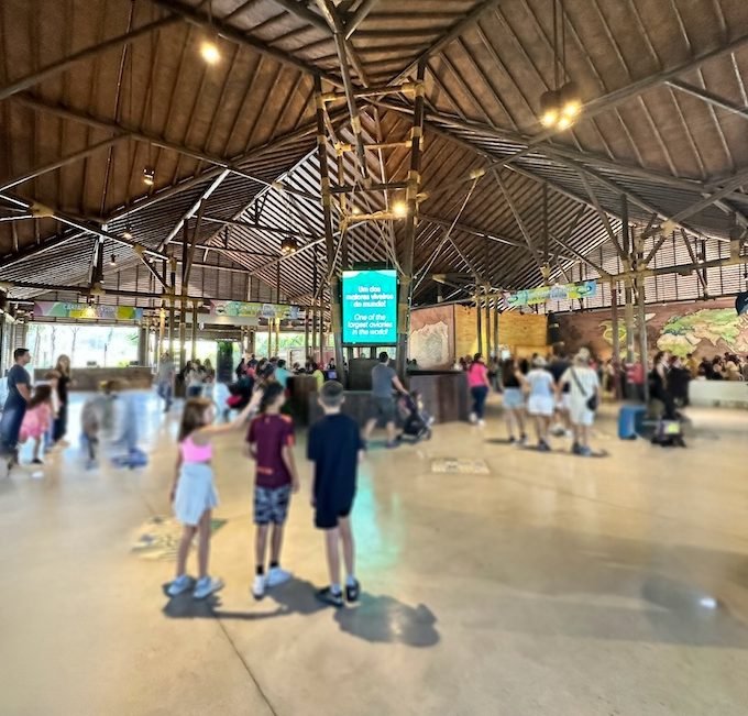 acesso Animália Park