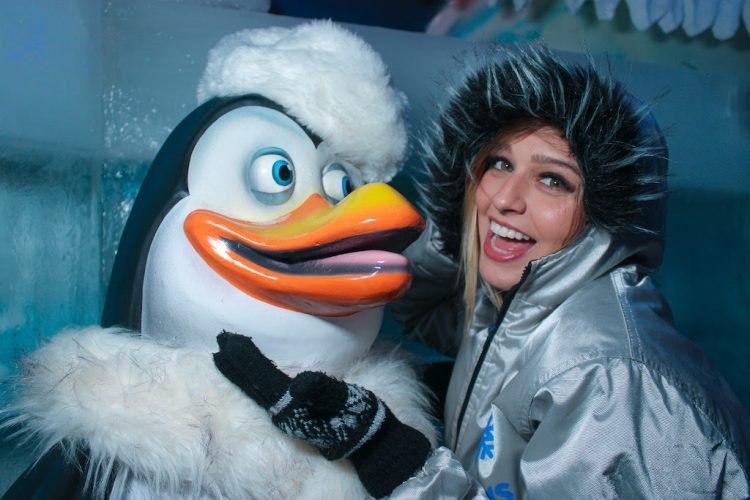 personagem pinguim no bar de gelo em olímpia