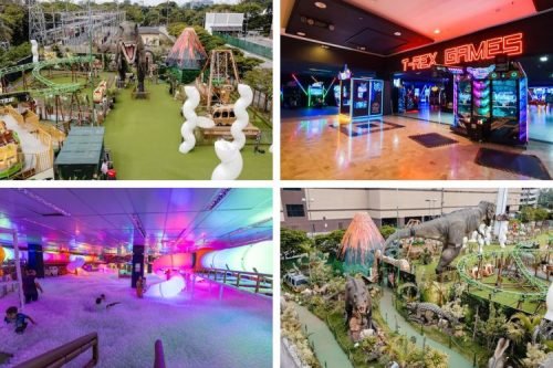 T-Rex Park Shopping D