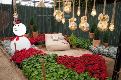 Natal de Holambra Expoflora-2