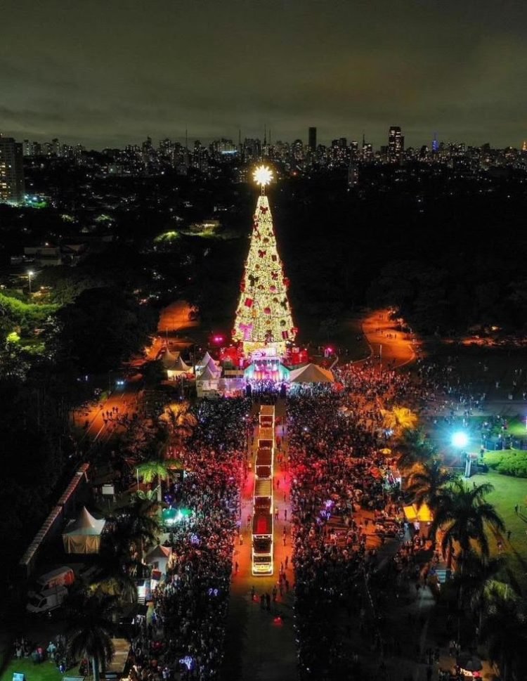 árvore coca-cola parque villa lobos