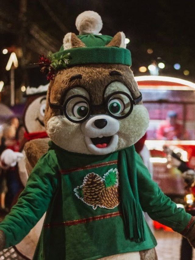 NATAL MONTE VERDE