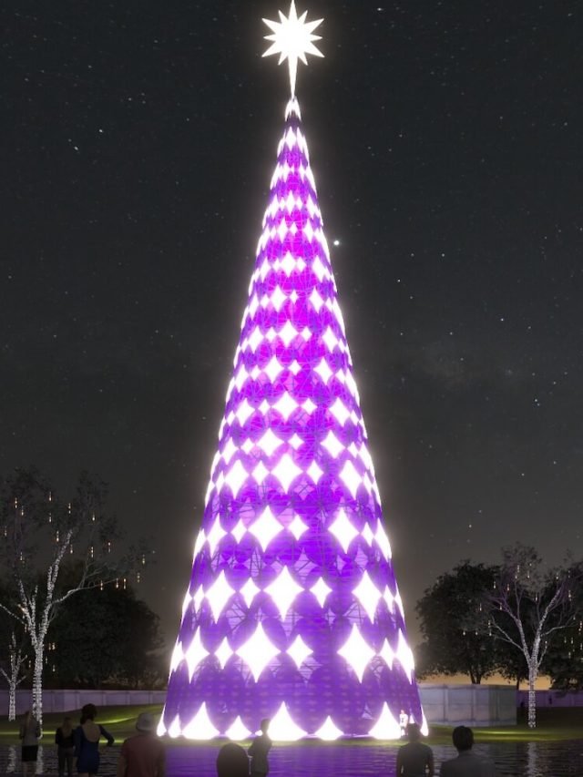 Árvore de Natal Parque do Ibirapuera Nubank-2