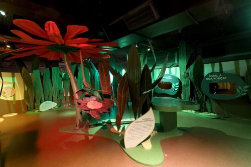Museu da Imaginação