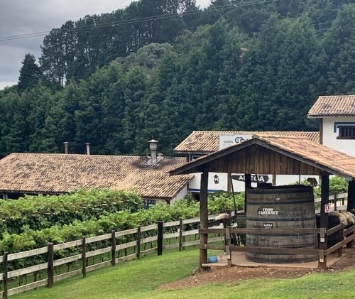 São Roque_Quinta do Olivardo