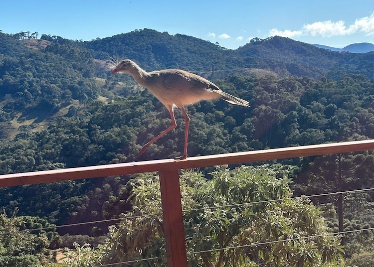 Um final de semana em Gonçalves: a arte de desacelerar em família
