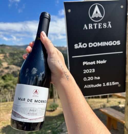 Vinicola Artesã Gonçalves