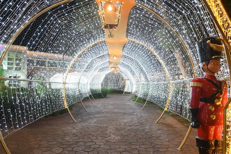 túnel de luzes led natal em serra negra