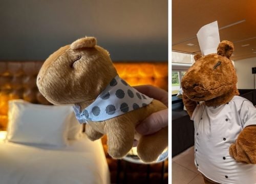 Sarah Capivara Pullman Guarulhos